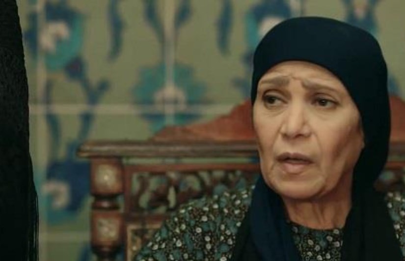 الفنانة عايدة فهمي الفنانة عايدة فهمي