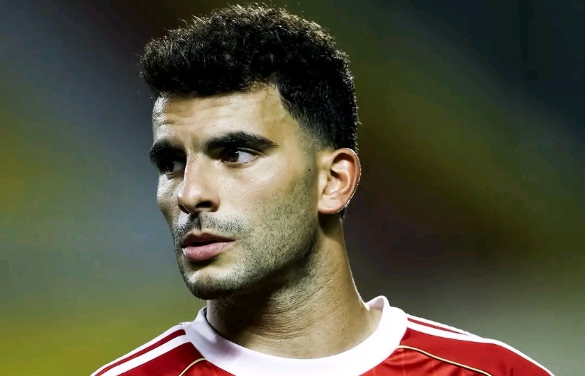الأهلي الأهلي