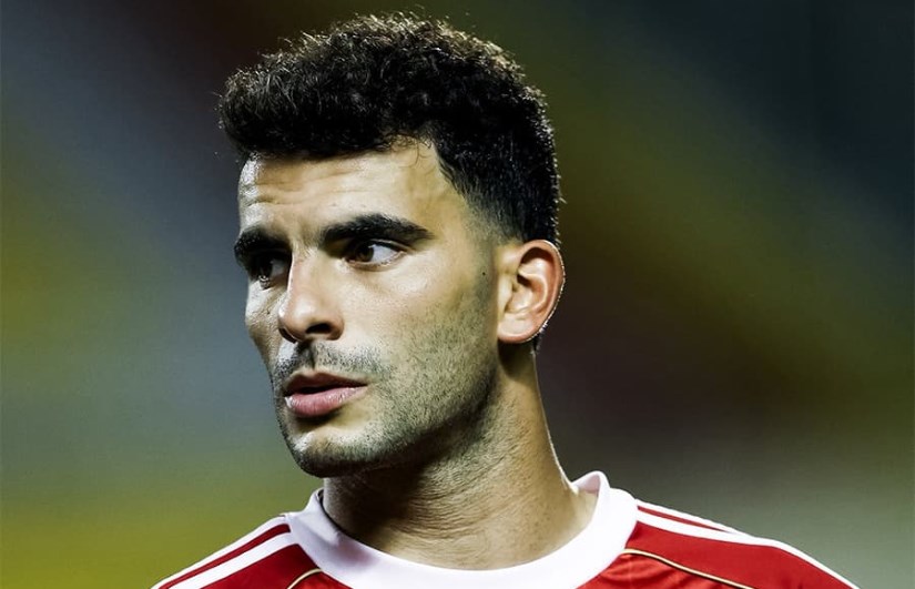 الأهلي الأهلي