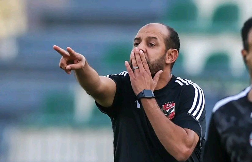الأهلي الأهلي