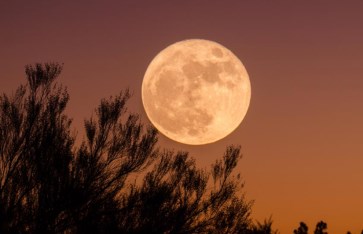 ليلة النصف من شعبان