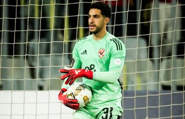 مصطفى شوبير 