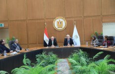 جانب من الفعاليات