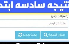 نتيجة الصف السادس الابتدائي 