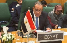 الدكتور بدر عبدالعاطي وزير الخارجية