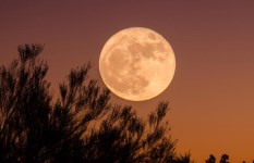 ليلة النصف من شعبان