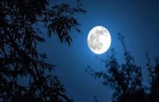 ليلة النصف من شعبان