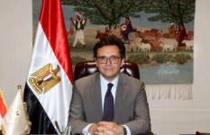 الدكتور أحمد فؤاد هنو