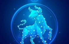 صفات ومميزات وعيوب برج الثور