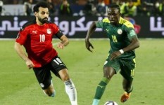 مصر والسنغال 