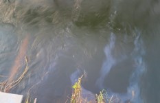 بقعة سولار بسوهاج