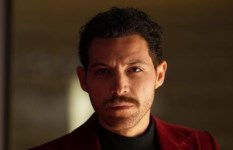 محمود حجازي 