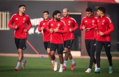 الأهلي 