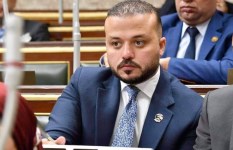 محمد الجارحي 