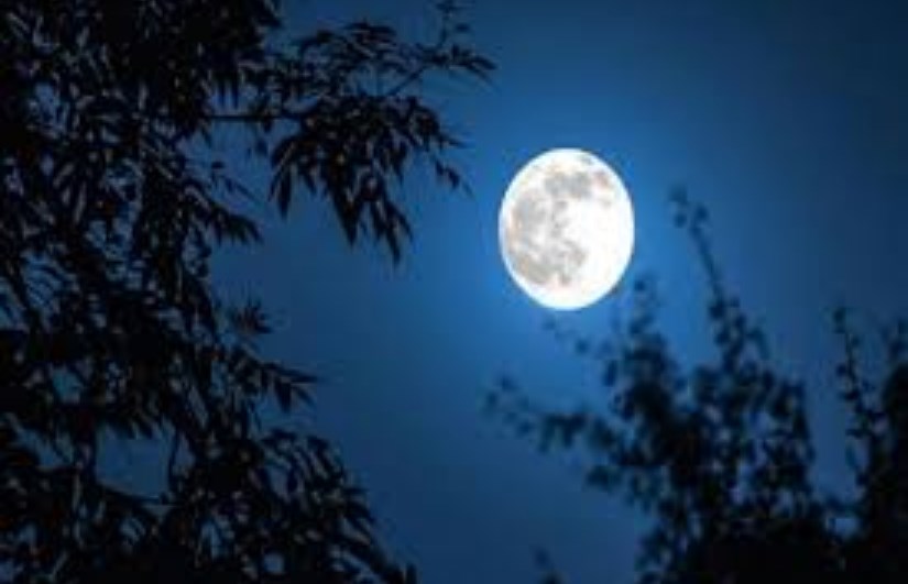 ليلة النصف من شعبان