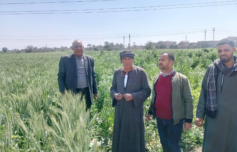 زراعة أسيوط 