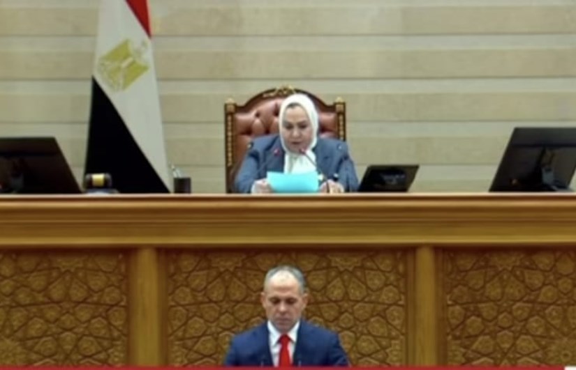 مجلس النواب الجديد 