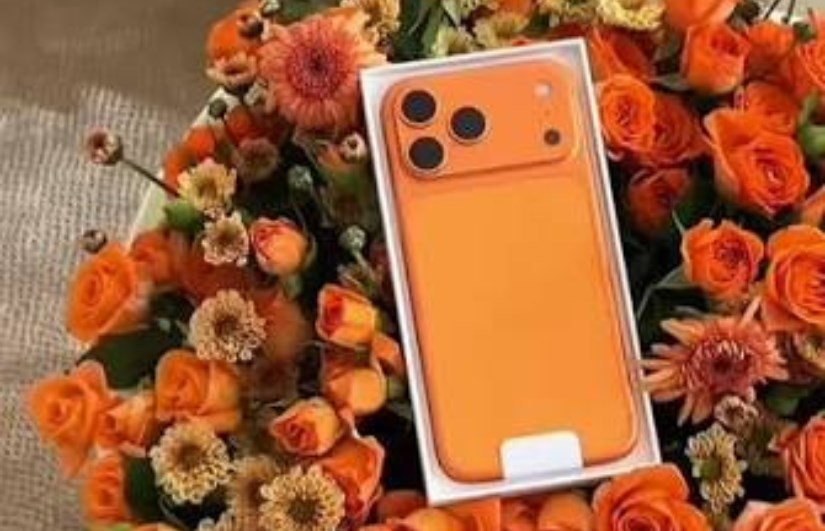 من الآيفون الي الوردة أفضل هدية لخطيبتك في عيد الحب  2026