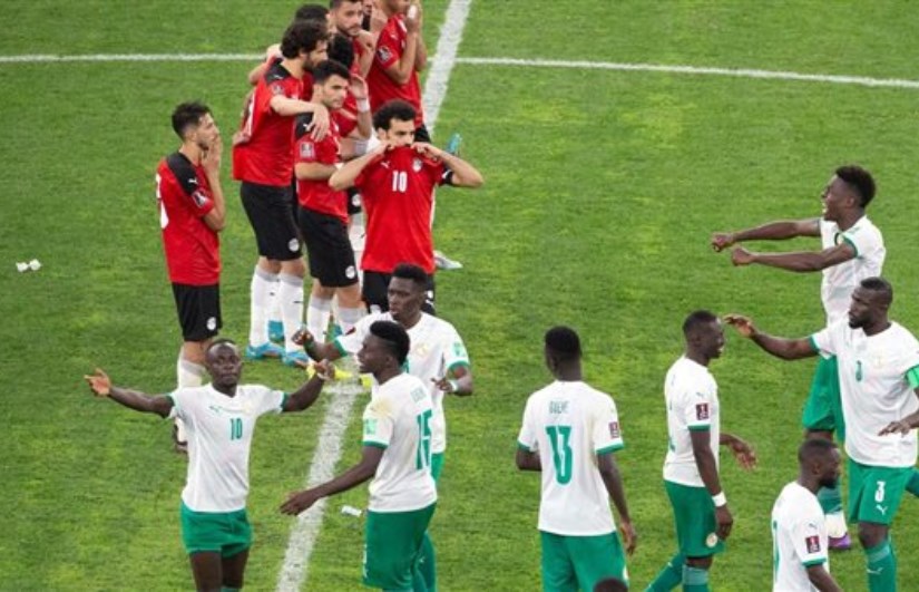 مصر والسنغال