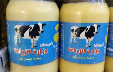 السمنة البلدي
