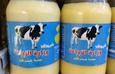 السمنة البلدي