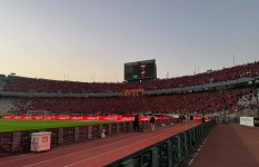 جماهير الأهلي 