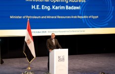 وزير البترول والثروة المعدنية