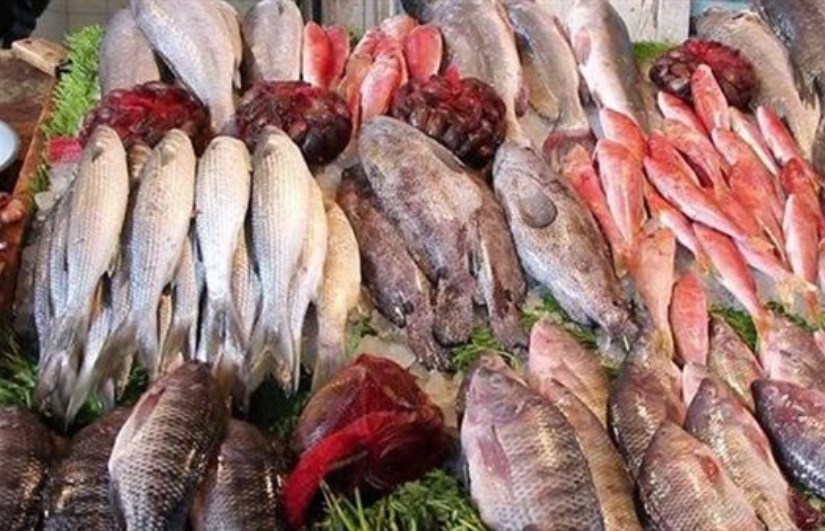 أسعار الأسماك اليوم