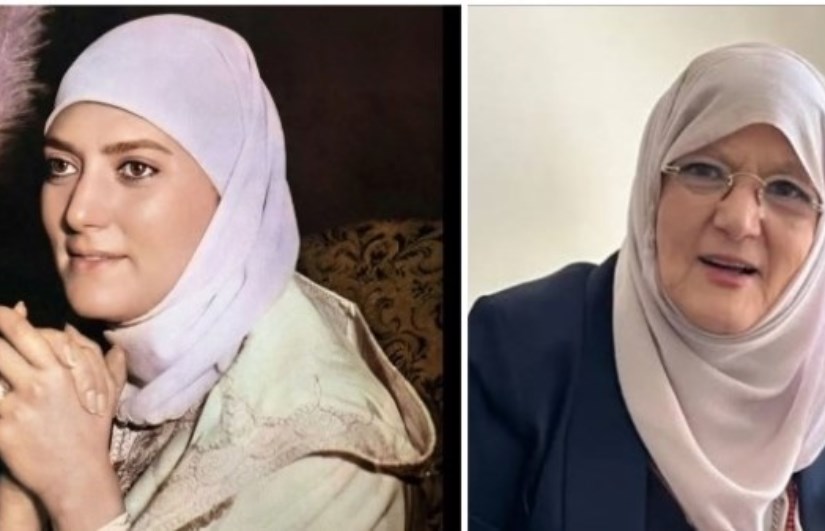 شمس البارودي