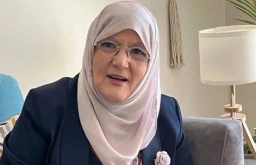 شمس البارودي 