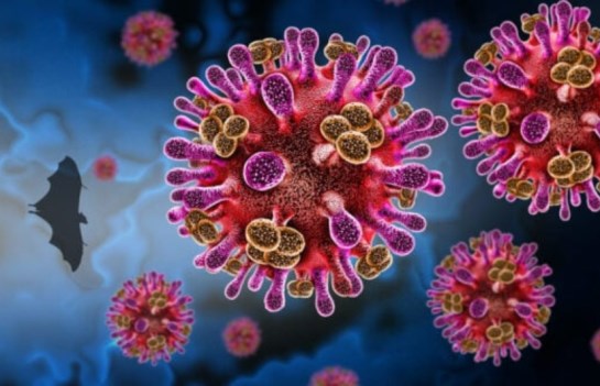 ما هو فيروس نيباه 