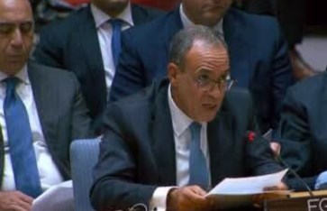 الدكتور بدر عبد العاطي وزير الخارجية