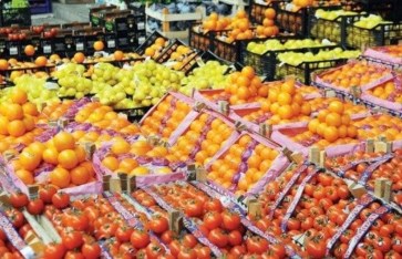 الصادرات الزراعية 2025 تسجل رقما قياسيا وتستحوذ على ربع صادرات مصر للعالم