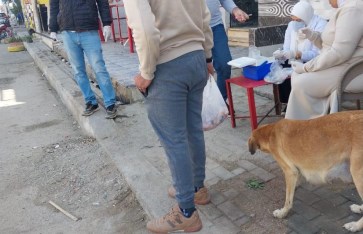 الزراعة: تحصين وتعقيم أكثر من 14 ألف كلب ضمن حملة مكافحة السعار