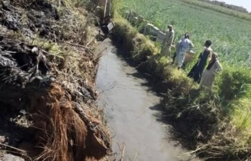 زراعة الأقصر 