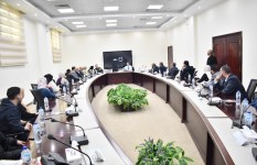 جانب من الفعاليات 