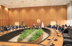 جانب من الفعاليات 