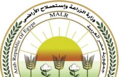 الزراعة تستعرض جهود حماية الثروة الداجنة في مصر