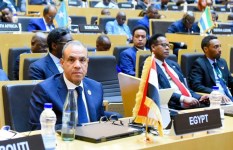 الدكتور بدر عبد العاطى وزير الخارجية