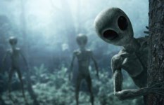 ترامب يأمر بنشر ملفات الكائنات الفضائية والأطباق الطائرة