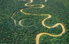 انخفاض منسوب نهر الأمازون 