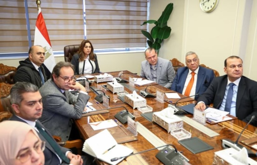 التنمية المحلية 