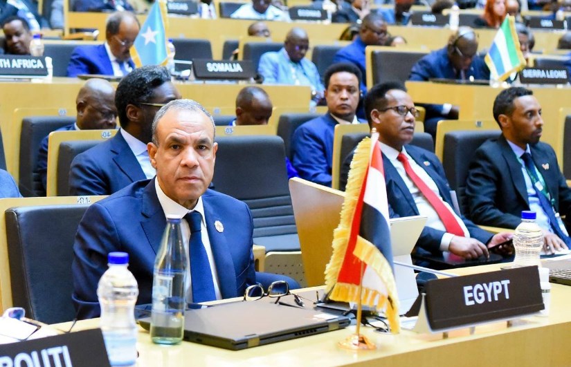 الدكتور بدر عبد العاطى وزير الخارجية