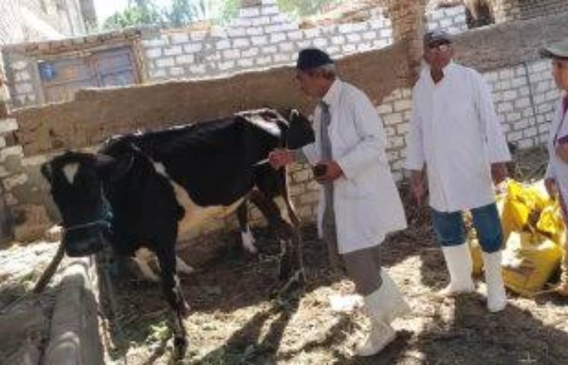 مديرية الطب البيطري بمحافظة كفر الشيخ