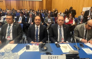 جانب من الفعاليات 