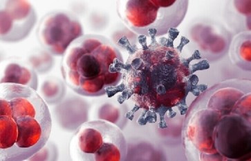  حقيقة علاج السرطان بالأدوية البيطرية