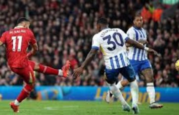 ليفربول وبرايتون 