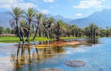 اغرب جزر العالم 