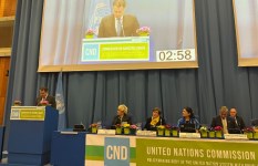 جانب من الفعاليات 