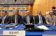 جانب من الفعاليات 